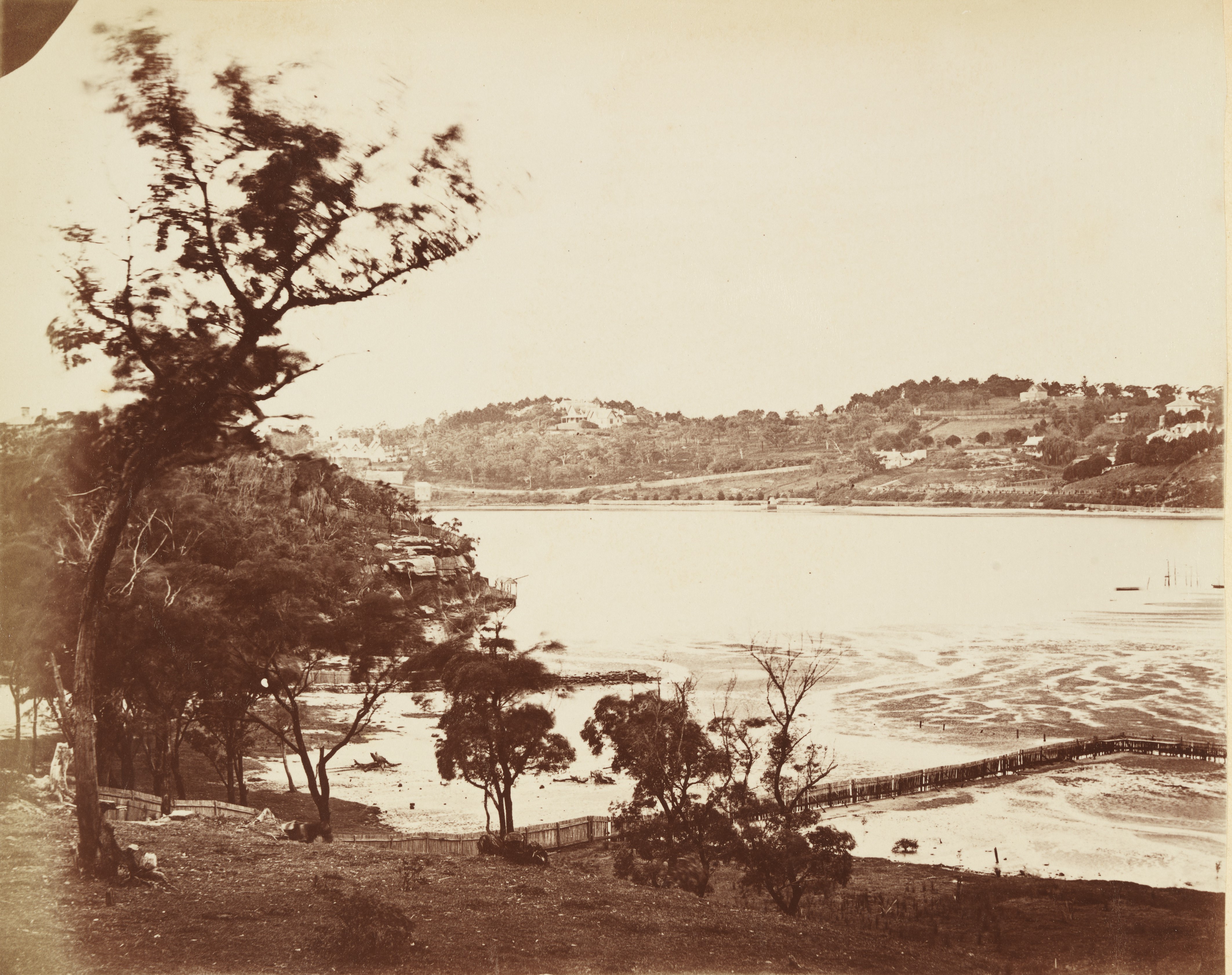 Photograph of Rushcutters Bay