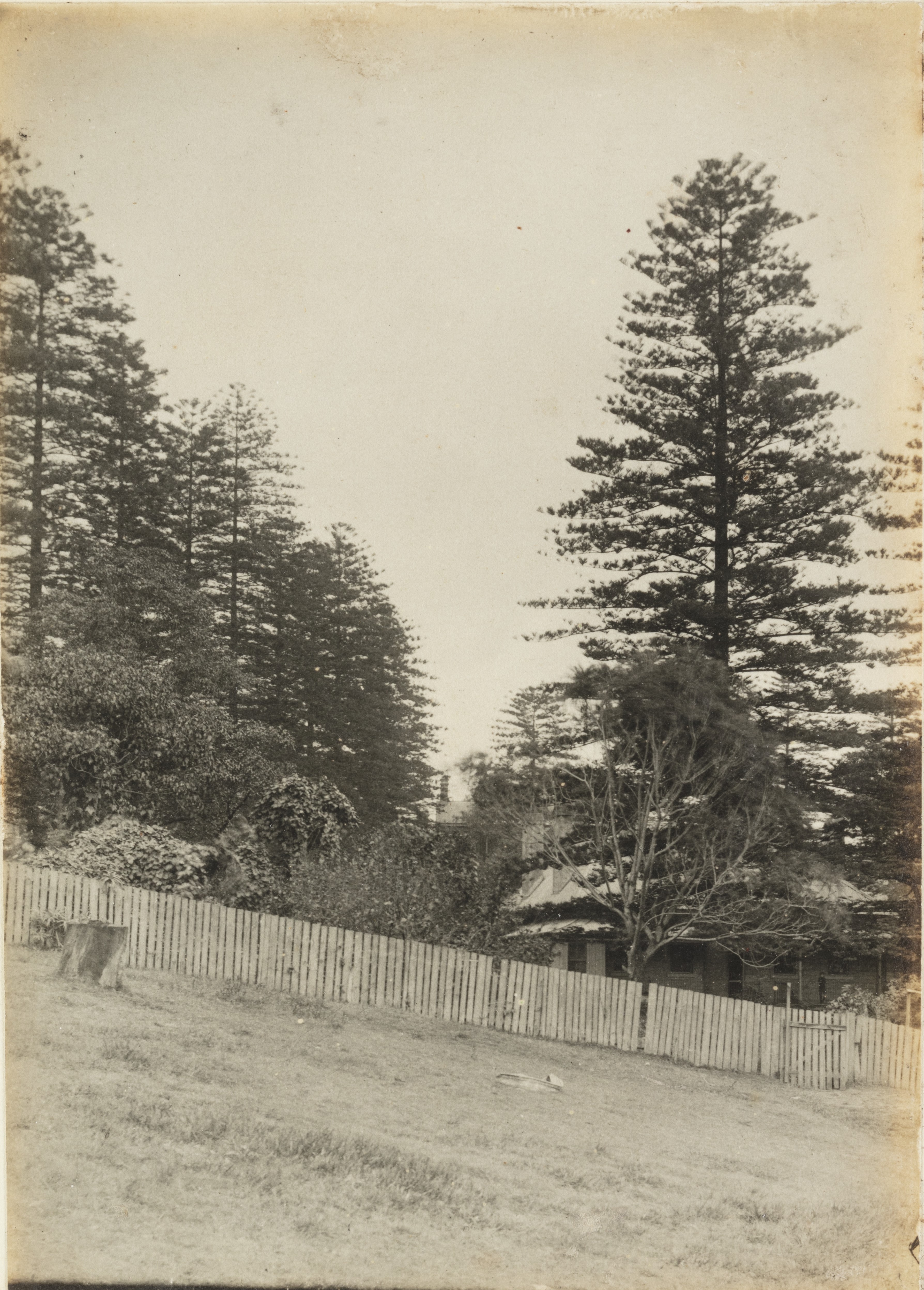 Photograph of Barcom Glen cottage and trees