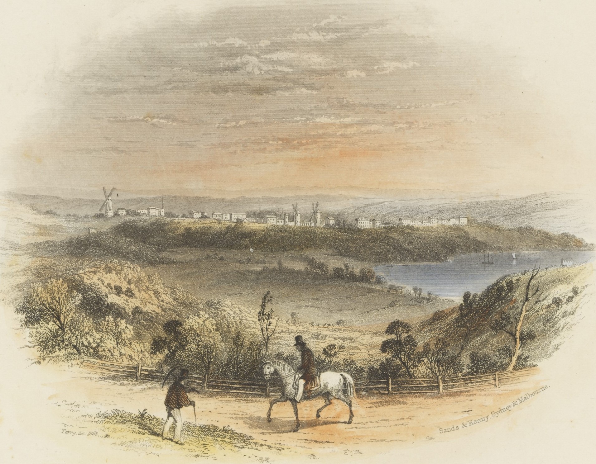 Illustration of Sydney from the eastern suburbs
