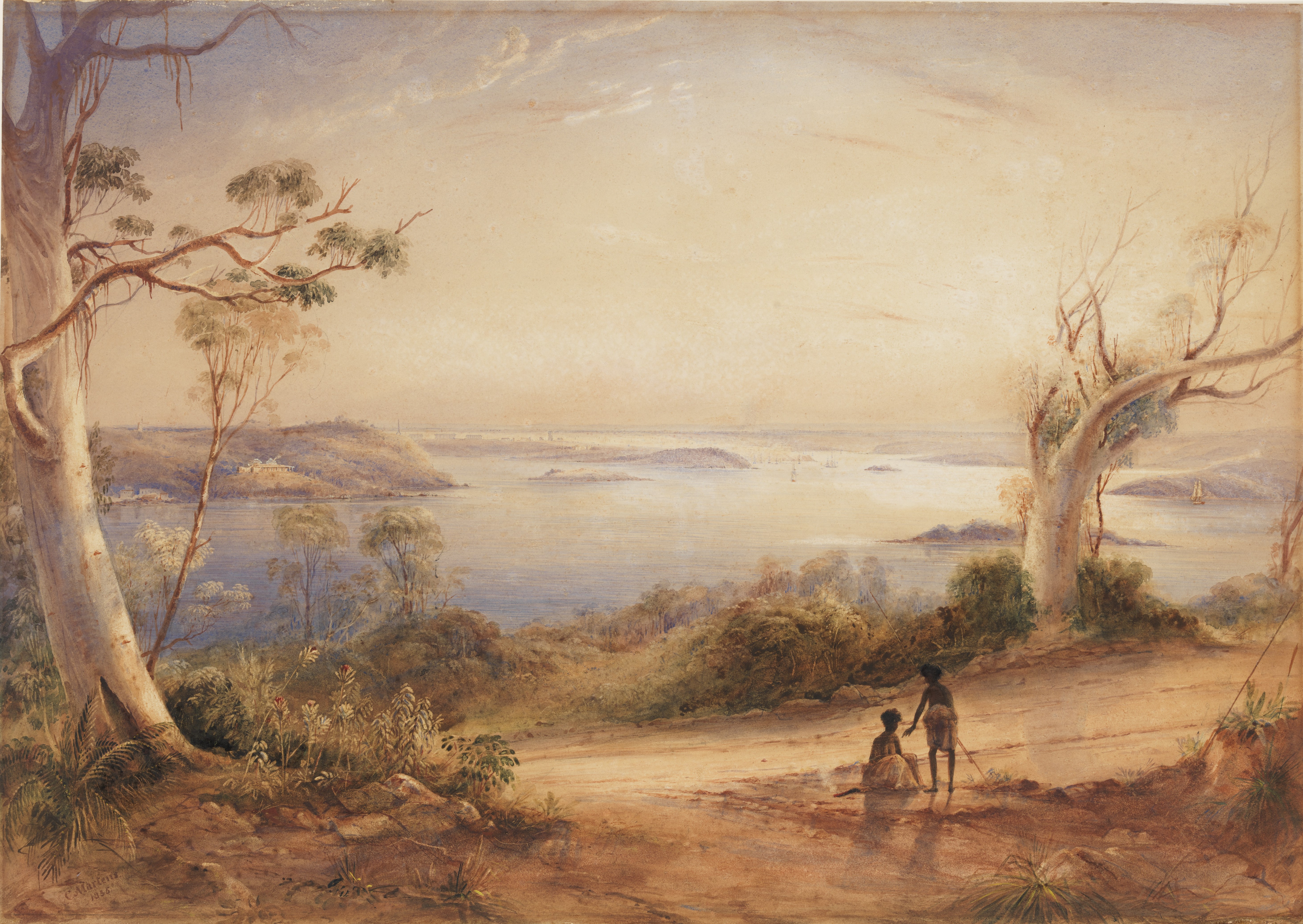 Illustration of Sydney Harbour